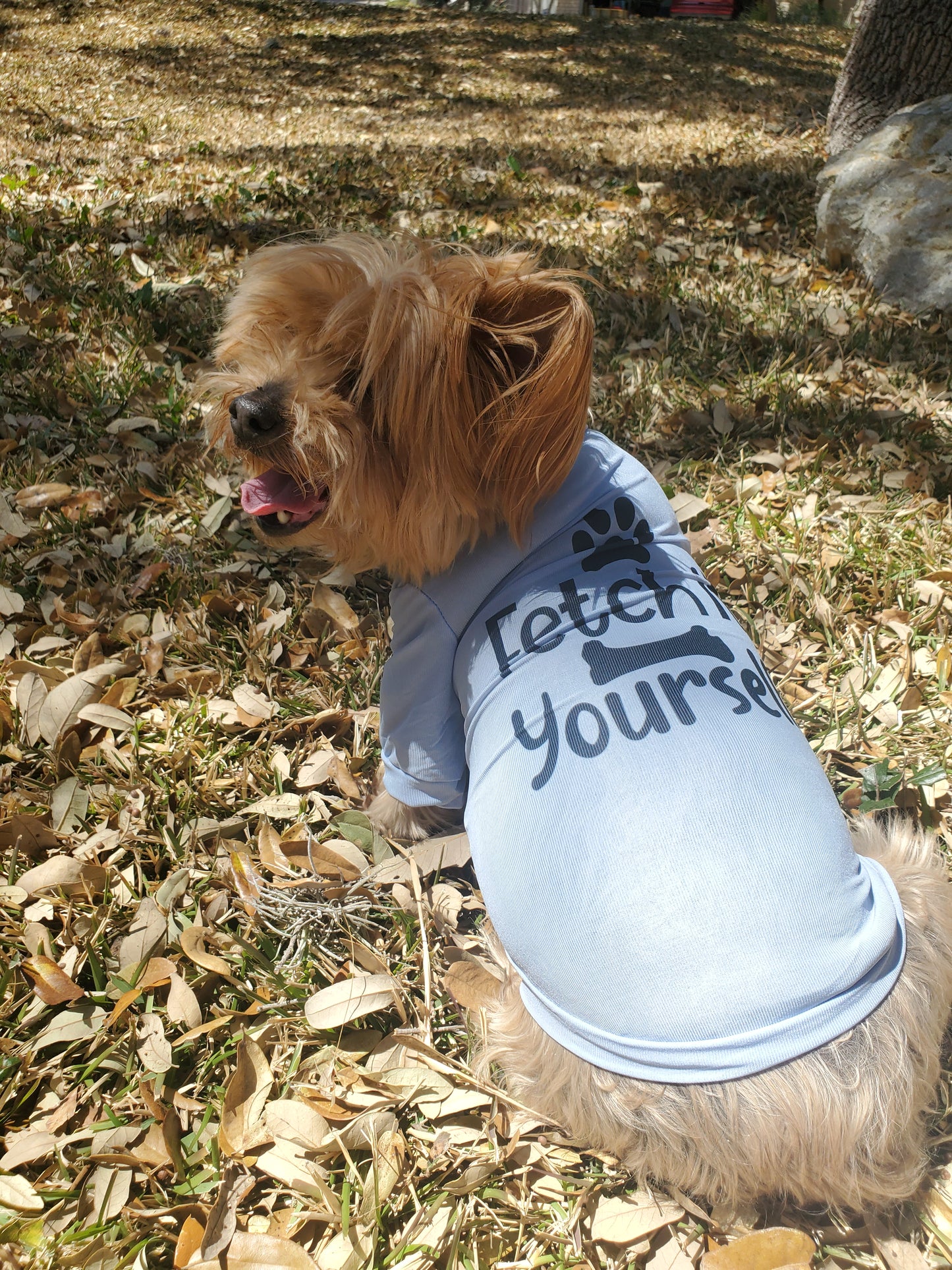 You Fetch Sublimation Pet T-Shirt