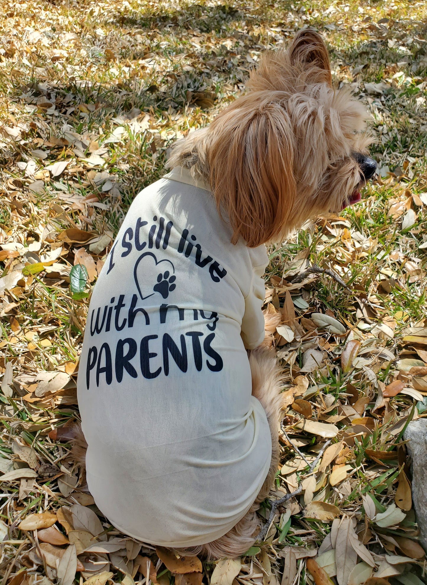 Living with My Parents Sublimation Pet T-Shirt